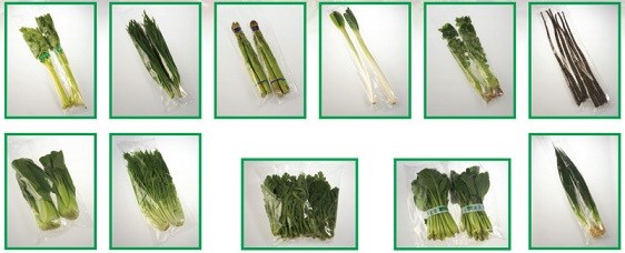 葉菜包裝機 葉菜包裝機